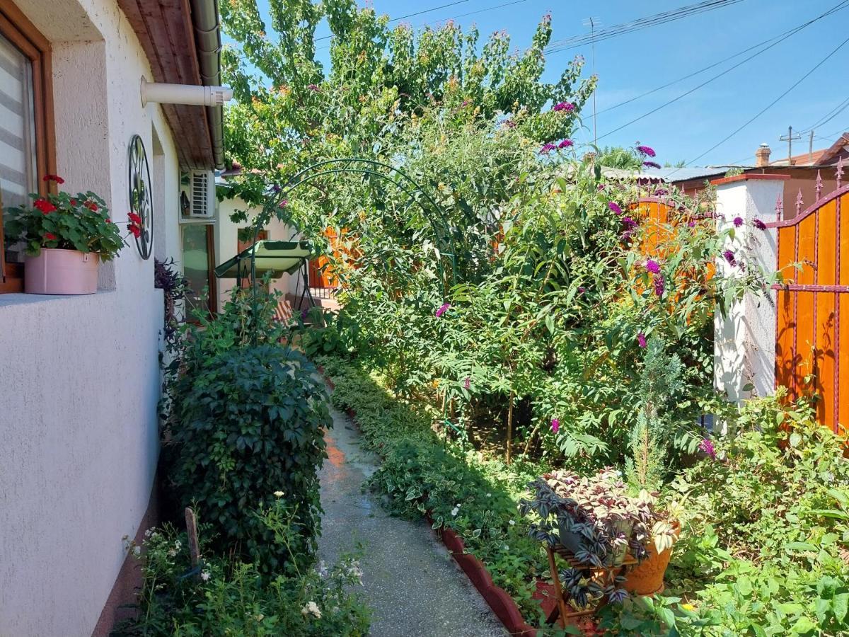 Casa Calin Tulcea Exterior foto